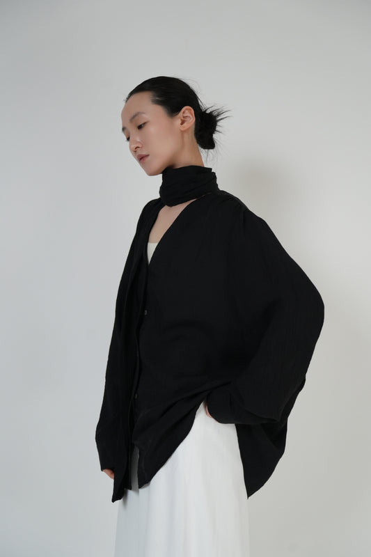 Scarf-Tie V-Neck Blouse / 2color