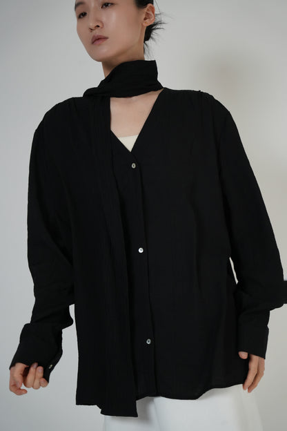 Scarf-Tie V-Neck Blouse / 2color